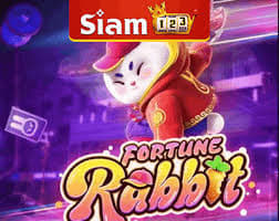 horario jogo fortune rabbit ícone